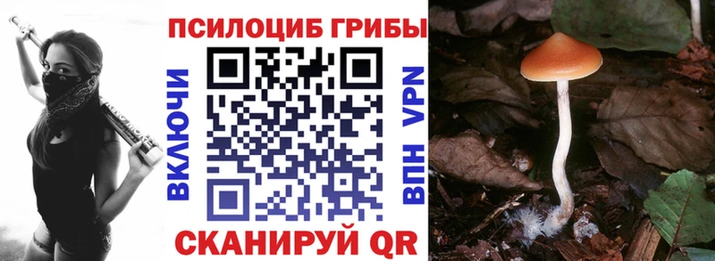Галлюциногенные грибы мухоморы  Купить где  Ряжск 